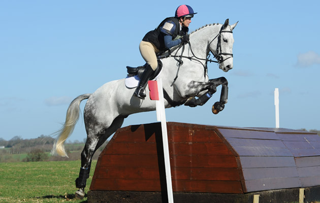 Patricia Pytches riding CES BALLYCAR CHIP in Intermediate Section B at Great Witchingham International (1) in Norfolk on the 21st March 2014