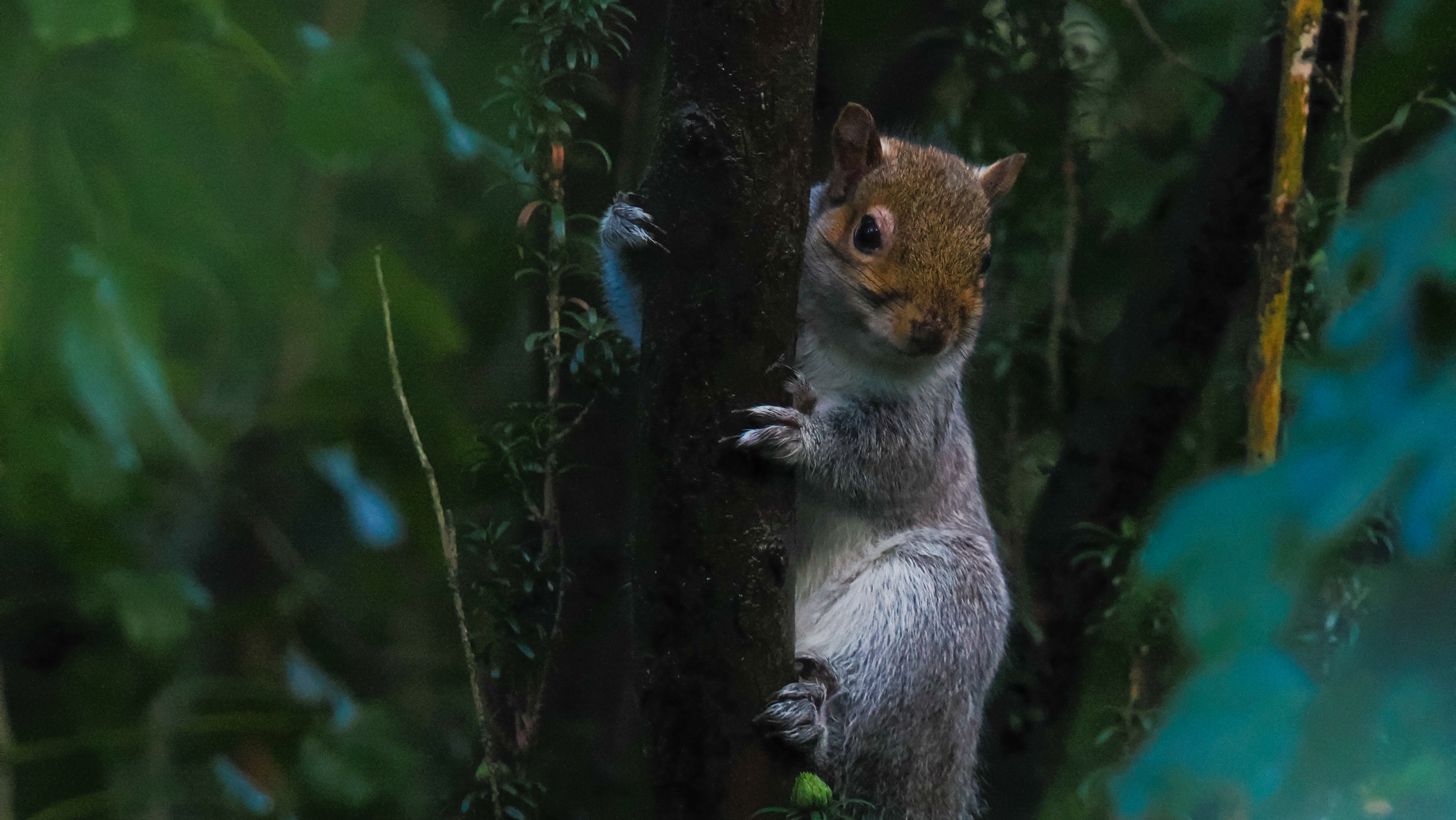 A photo taken on an OM System OM-1 Mark II Micro Four Thirds mirrorless camera