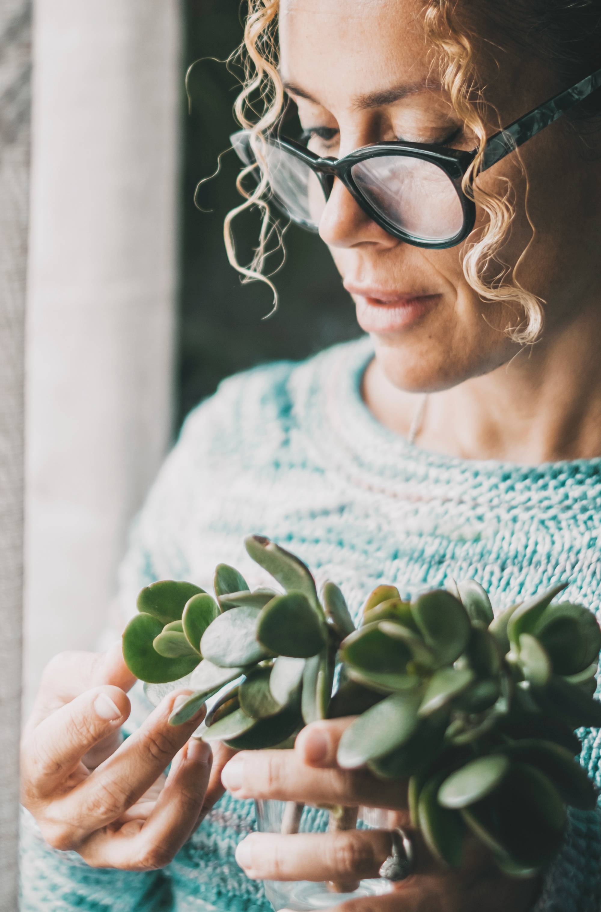 A woman closely inspects the leaves of a potted jade plant