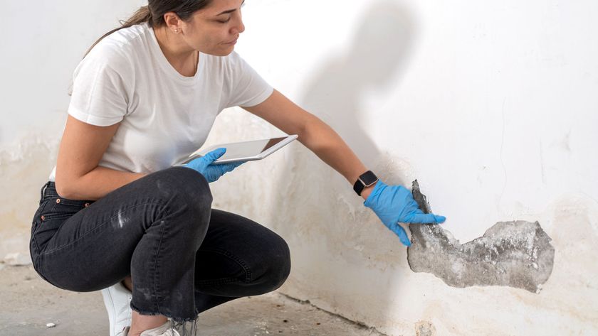 Woman wearing blue plastic gloves holding a tablet while inspecting mould on bottom of painted white wall