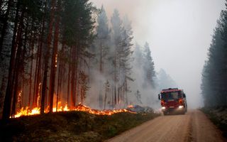 Swedish wildfire. 