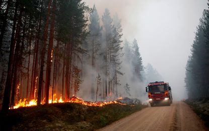 Swedish wildfire. 
