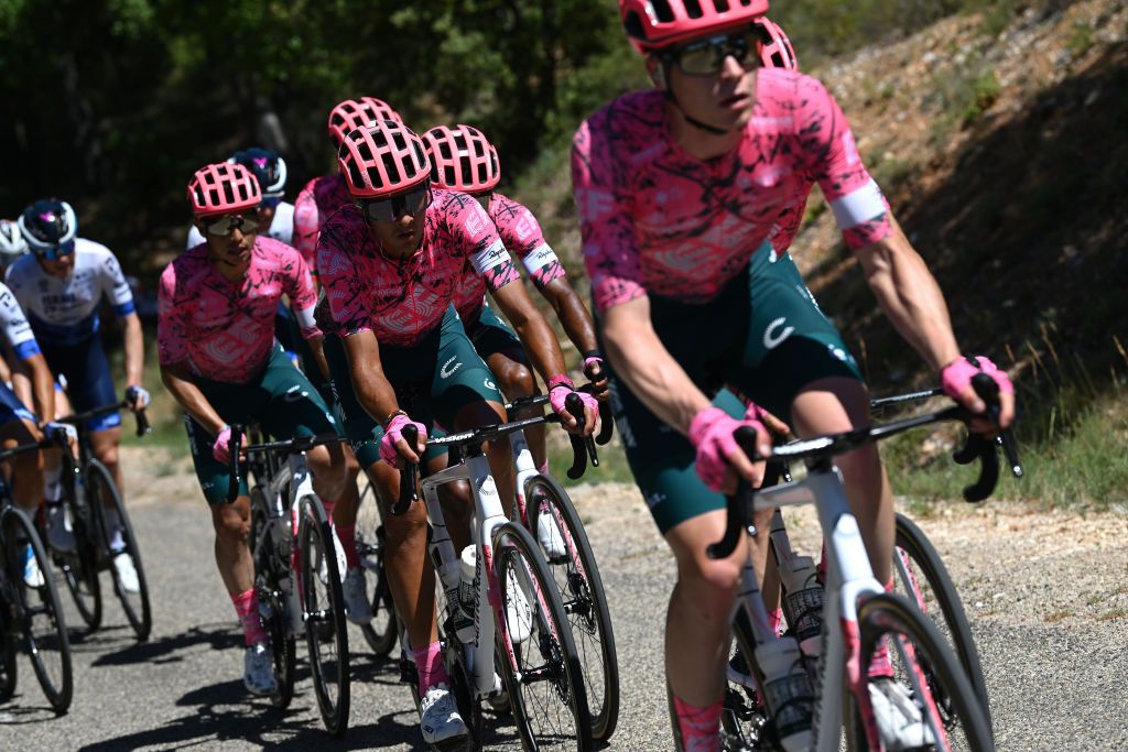 MONT VENTOUX FRANCE JUNE 14 Ruben Guerreiro of Portugal and Team EF Education Easypost competes during the 4th Mont Ventoux Denivele Challenge 2022 a 153km one day race from VaisonlaRomaine to Mont Ventoux 1893m MVDC on June 14 2022 in Mont Ventoux France Photo by Dario BelingheriGetty Images