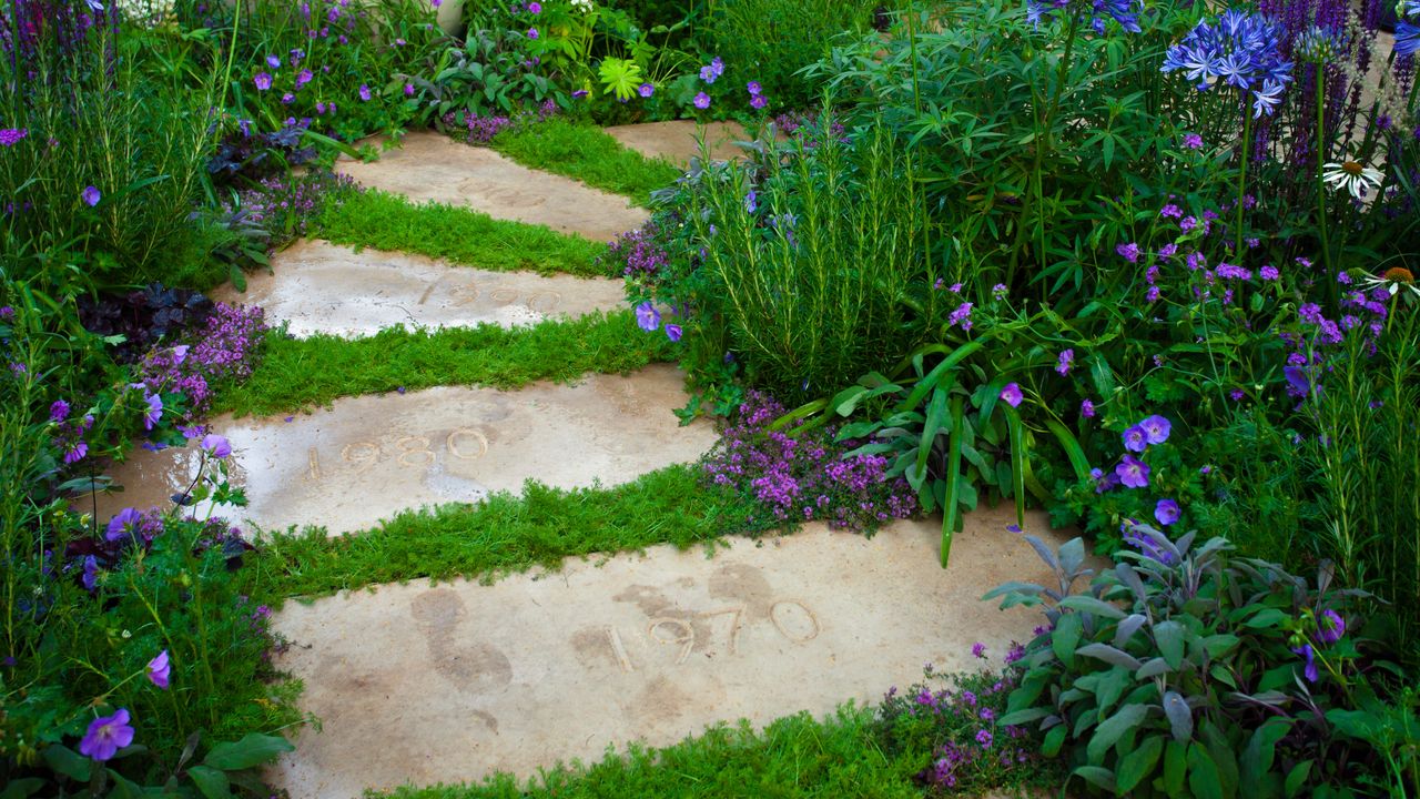 Ground cover plants growing in between stepping stones