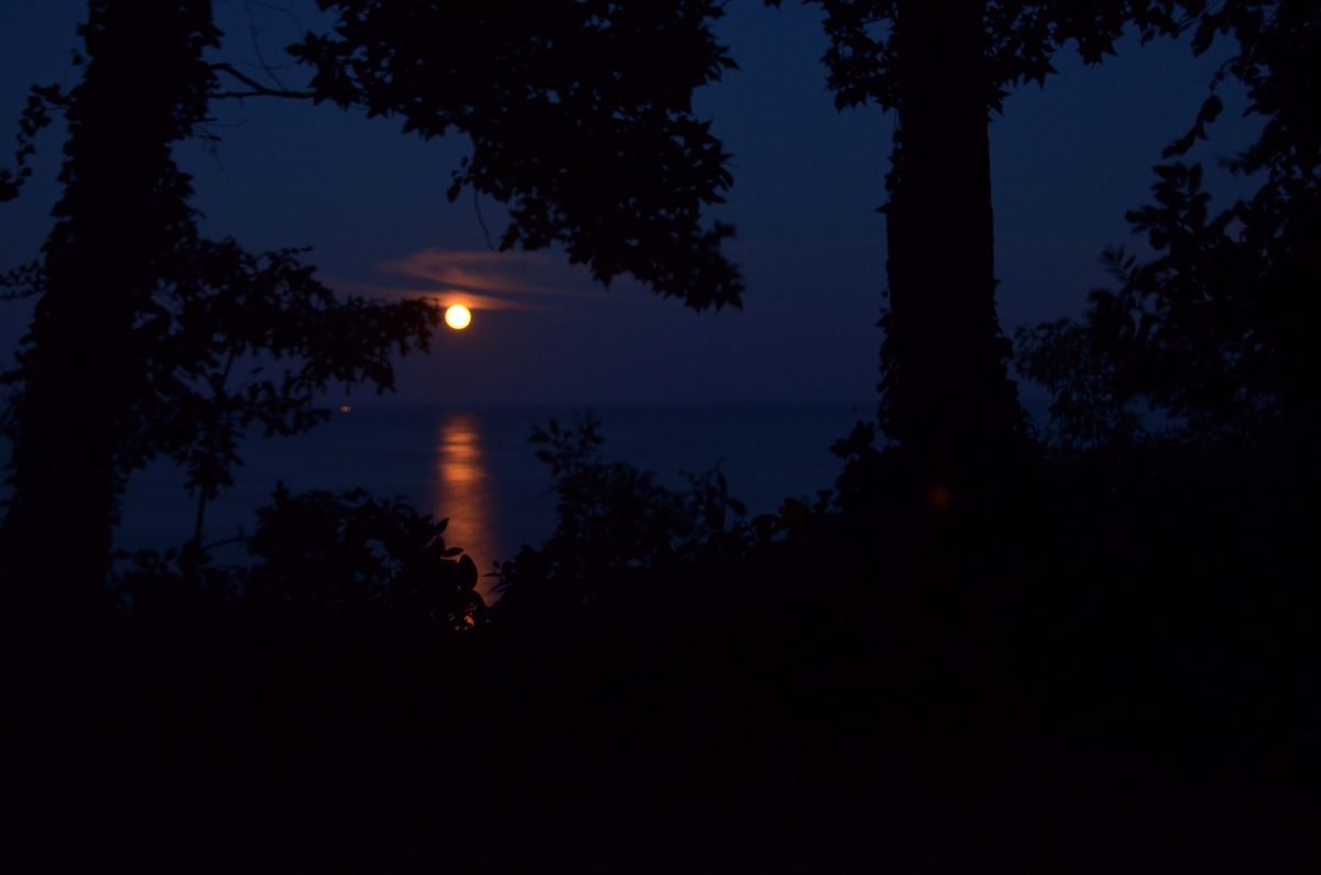 A full moon reflects on the Patuxent River in Maryland in 2013.