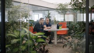 People working in an office environment surrounded by plants