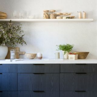 Kitchen with black cabinetry and white walls and open shelving