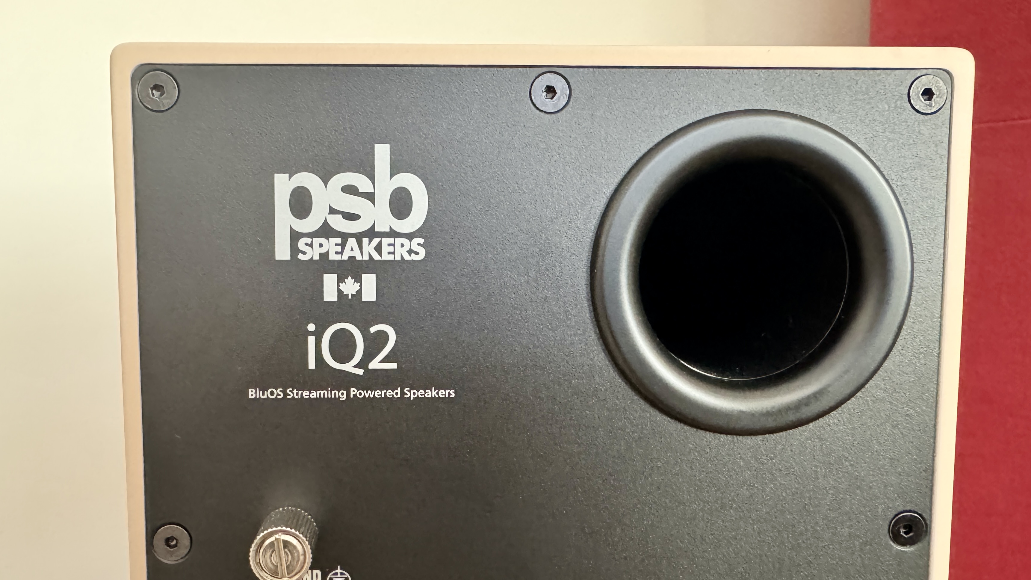 Rear panel of the PSB iQ2 stereo speaker system