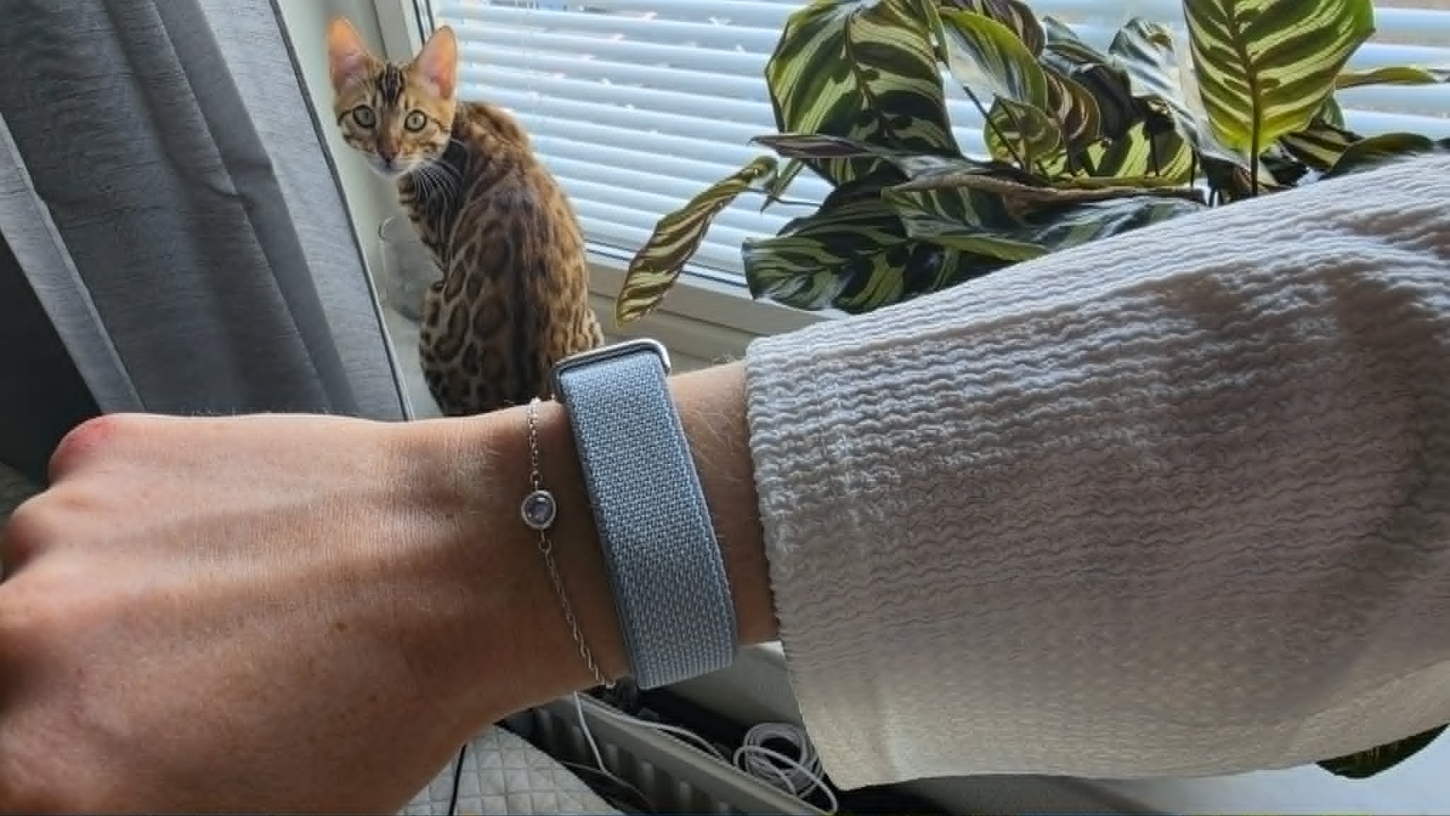 Google Fitbit Air