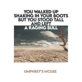 Umphrey's McGee album cover