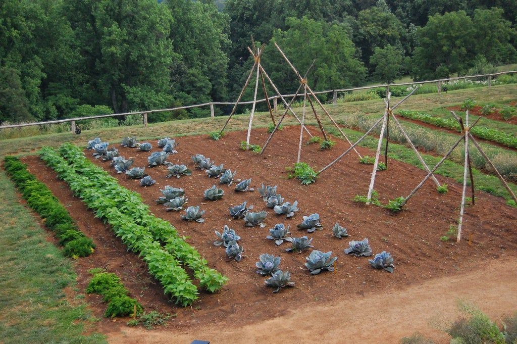 Large Crop Garden