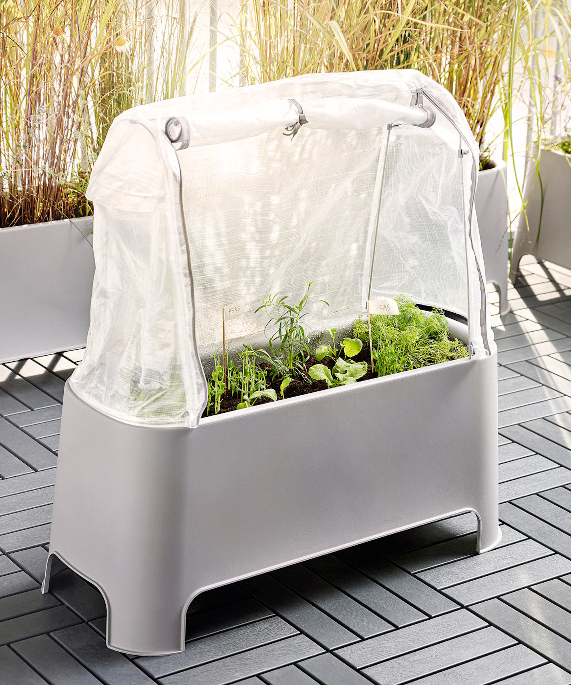 IKEA ASPAREN plant set