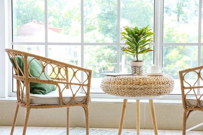 A living room with a rattan chair near a window with a wilting houseplant on a wicker table