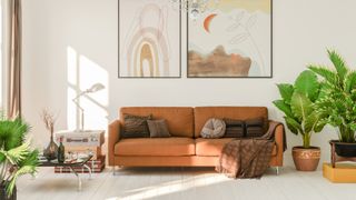 Image of furniture in brightly lit living room