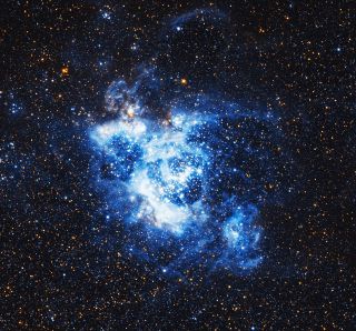 Stretching 1,500 light-years across, the ionized hydrogen in the Triangulum Galaxy shines bright in this image from the Hubble Space Telescope. The galaxy, more formally known as NGC 604, is a major area of star formation as this gas (most of which is hydrogen), collapses over time due to gravity, creating new stars.