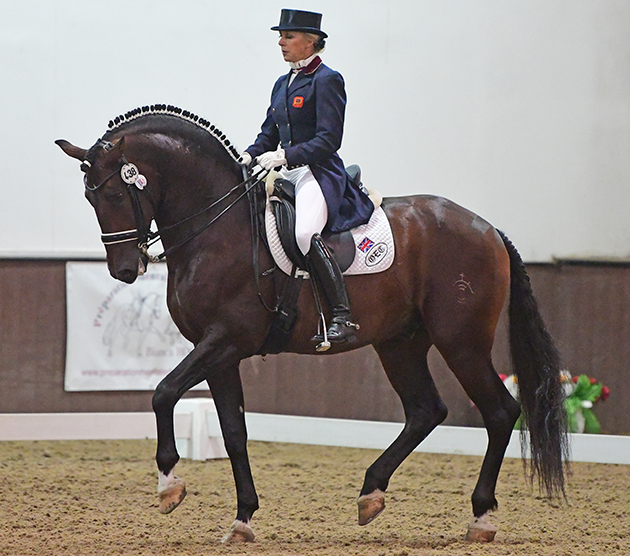 VICKY THOMPSON-WINFIELD - MANGO JACARO