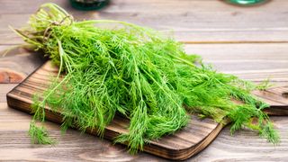 Bunch of dill lying on a chopping board