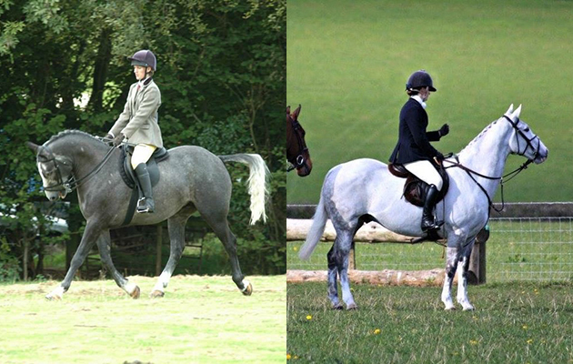 &ldquo;This is Coolda Cadet or Radley as he is known at home, a 15hh ISH. The first photo is Radley as a rising five-year-old and the other is of him now as a 15-year-old looking completely different! I used to show Radley and do hunter trials and hunting. Since I grew too old to show him I now just hunt where he&rsquo;s on his 10th season with me. Unfortunately he&rsquo;s got harder to keep clean as he&rsquo;s got older!&rdquo; &mdash; Samantha Parry