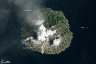 Paluweh volcano (also known as Rokatenda) eruption Indonesia.