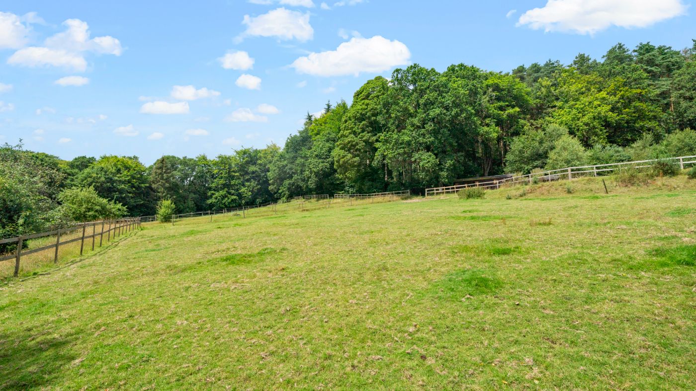 Stream-Farm-GU26-024.jpg
