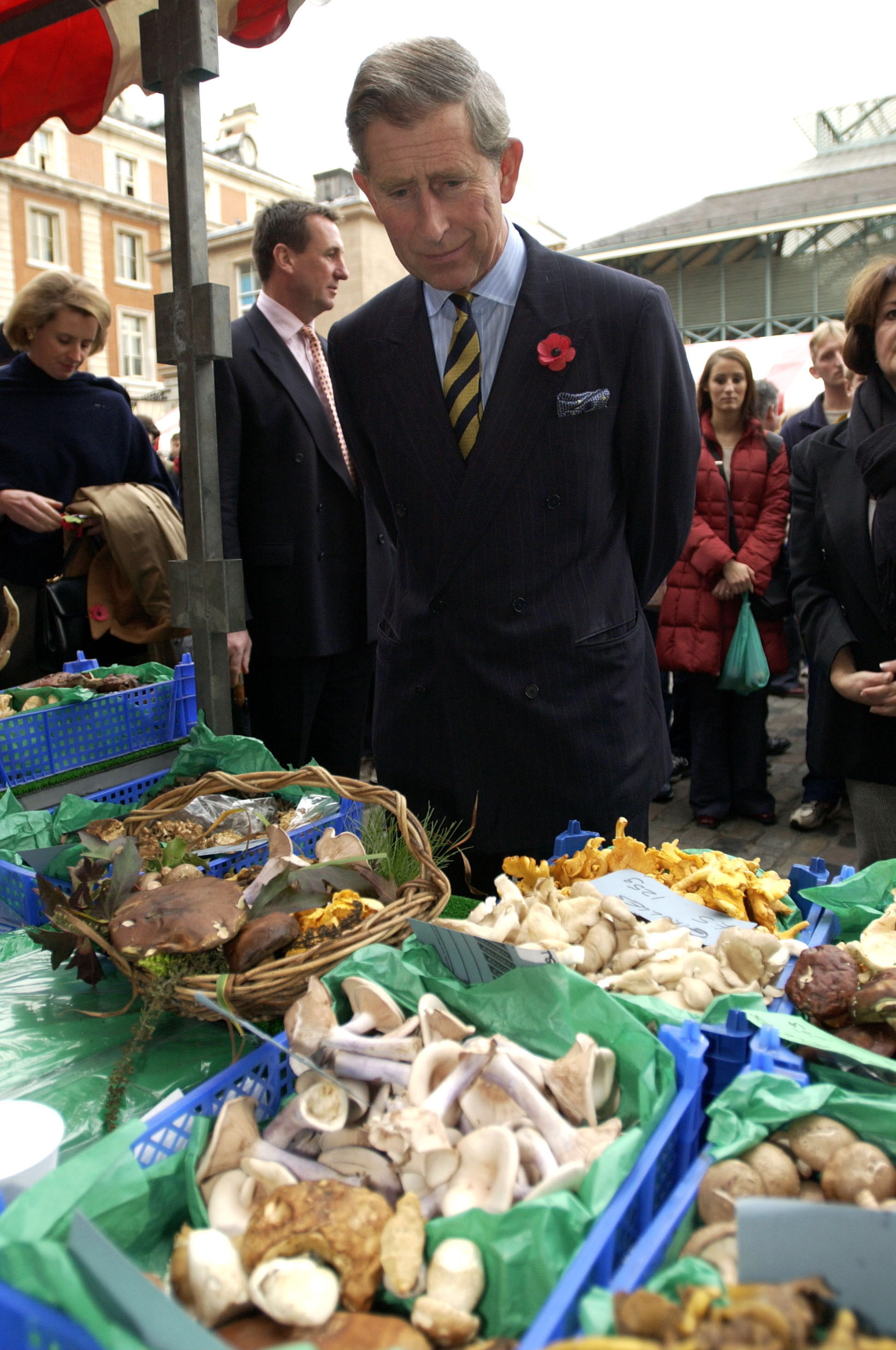 King Charles looking at mushrooms