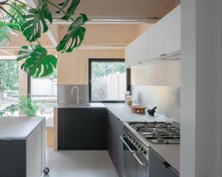 kitchen in an east london extension made of timber