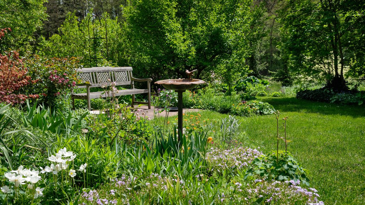 lawn with bench and bird bath and flowers growing in wilder area