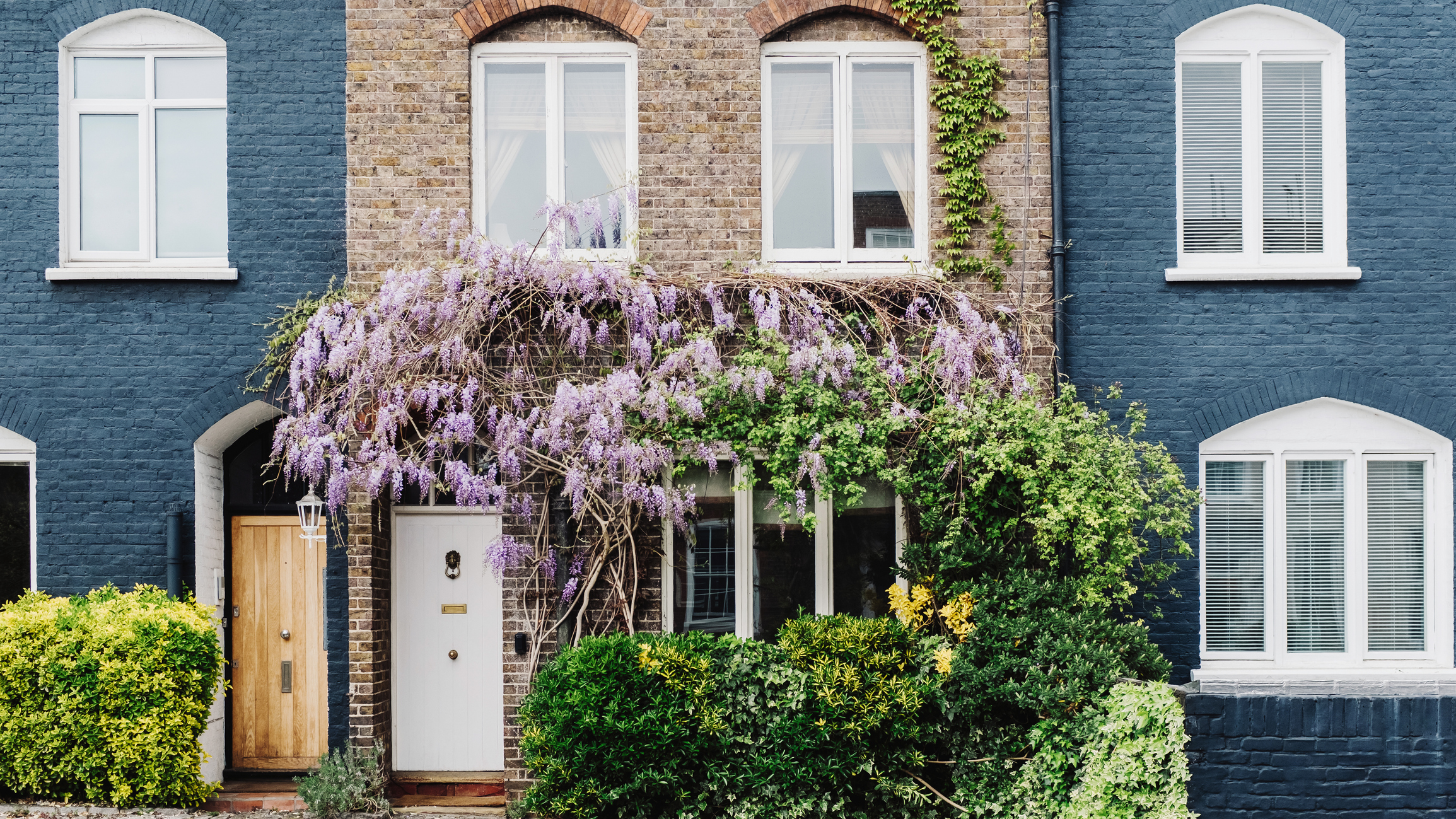 London brick terrace with wisteria plant
