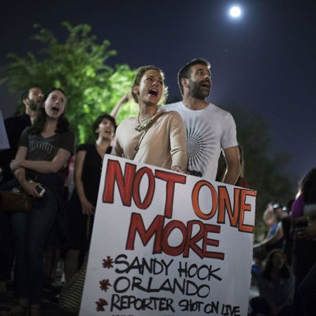 Democratic gun protest