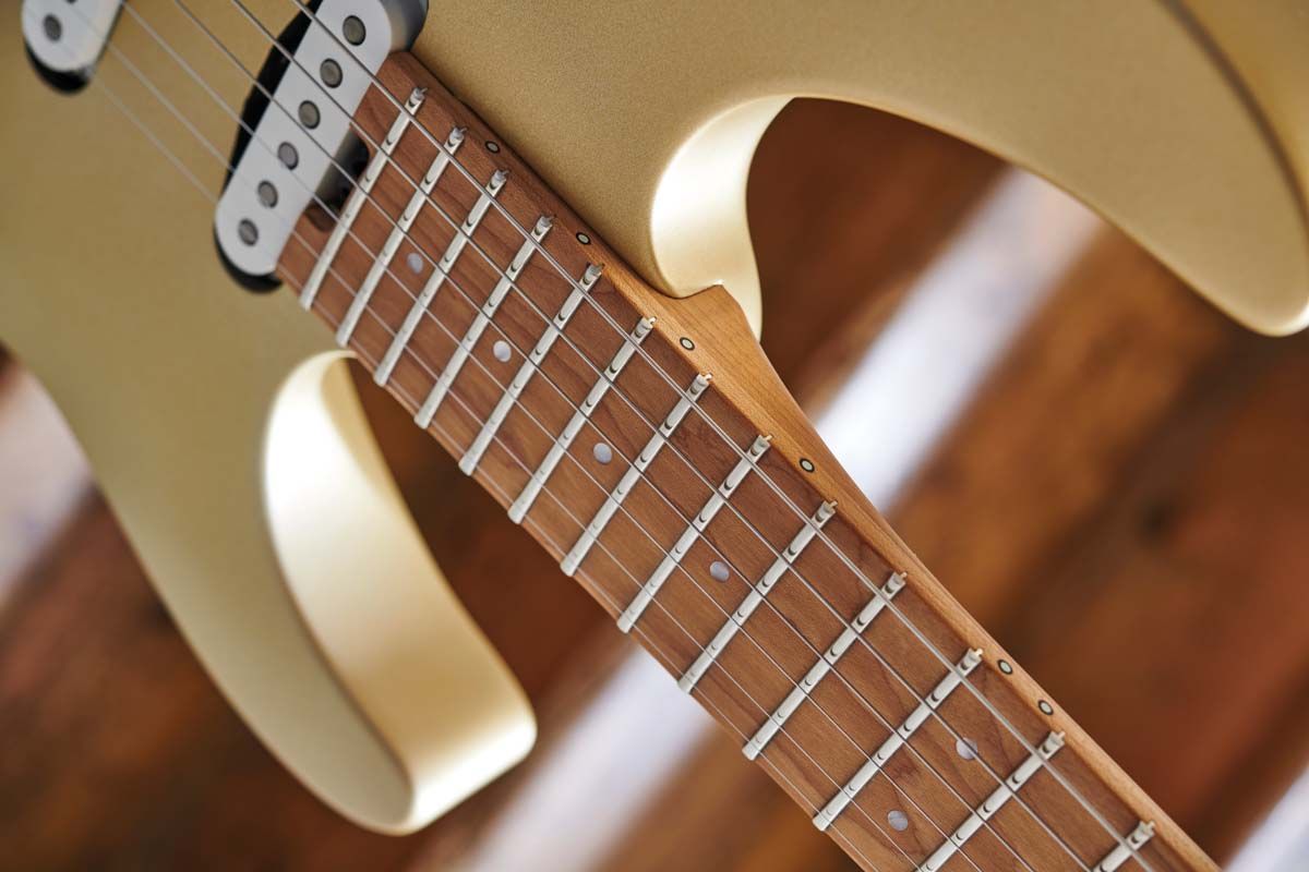 The 12-16" compound radius, rolled fretboard edges and slim neck profile give the DK22 a ridiculously playable feel. The Luminlay side dot markers will help you out when the house lights go down.