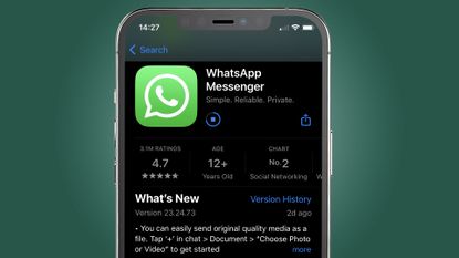 An iPhone on a green background showing the WhatsApp app