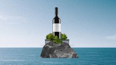 Photo collage of a large wine bottle, perched on top of a rocky island in the middle of the sea like a lighthouse, surrounded by greenery and a chicken wire fence.