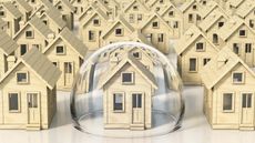 One wooden house knickknack in a crowd of many has a bubble around it.