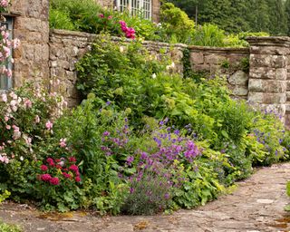 Country garden border with stone wall