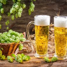 hops and two mugs of beer