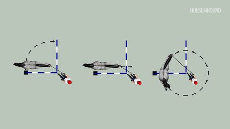 Three groundwork training exercises for horses in a diagram