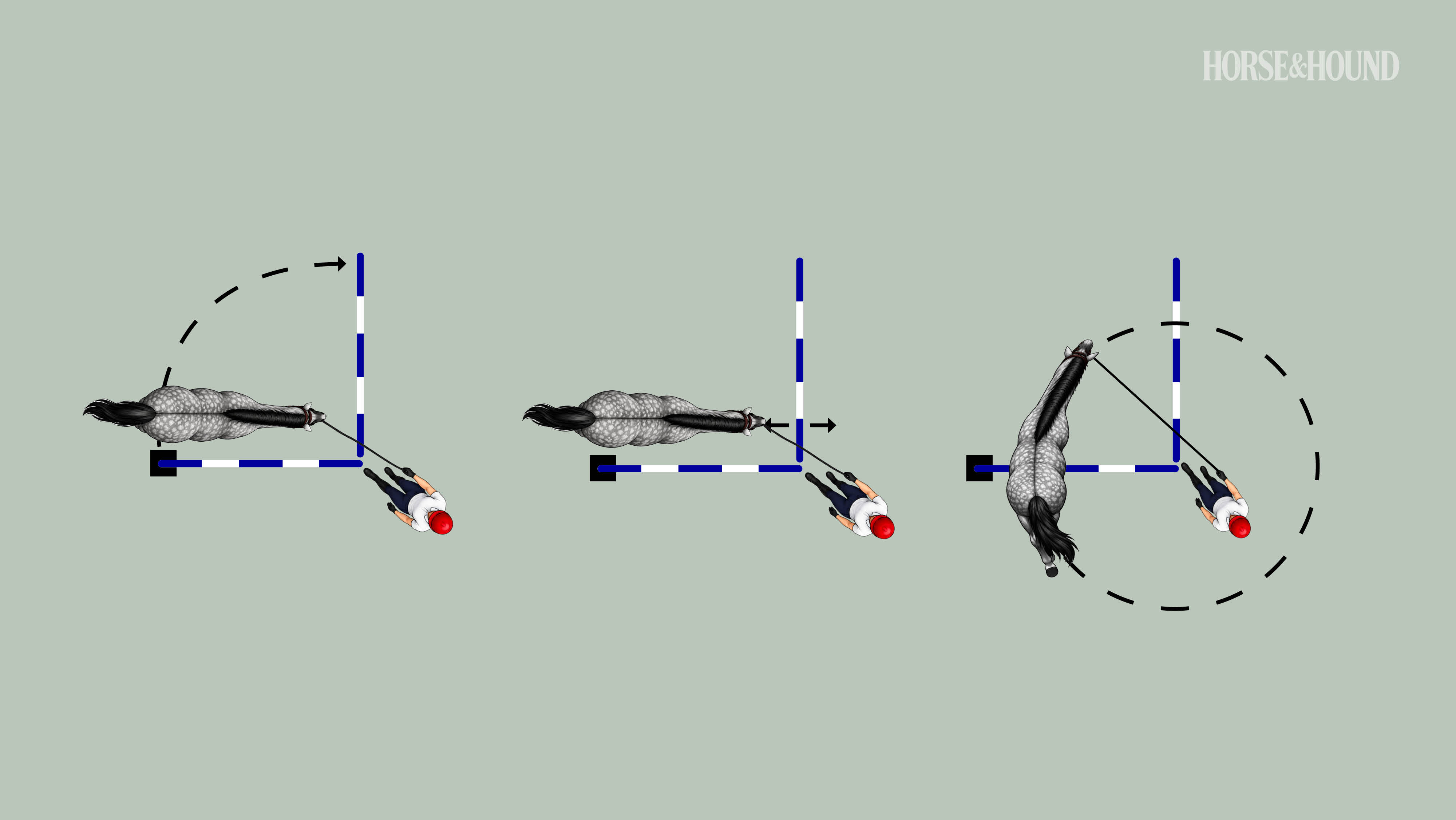 Three groundwork training exercises for horses in a diagram