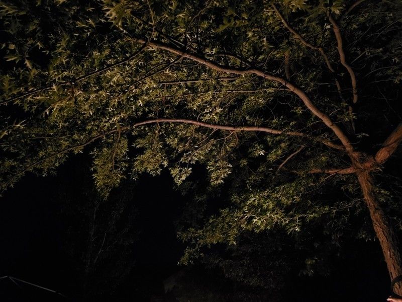 Galaxy Note 10+ camera sample