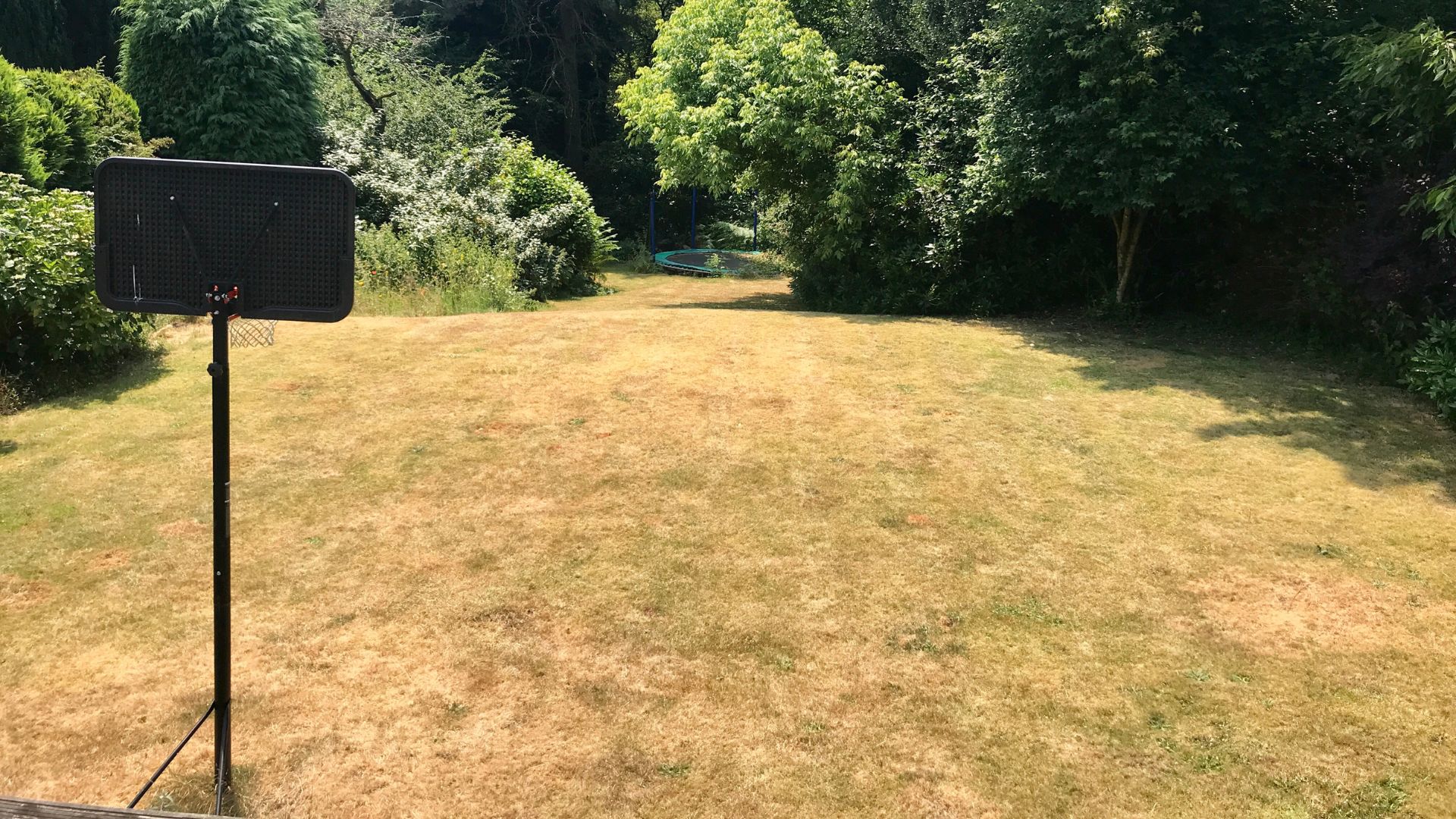 picture of brown burnt grass in uk garden
