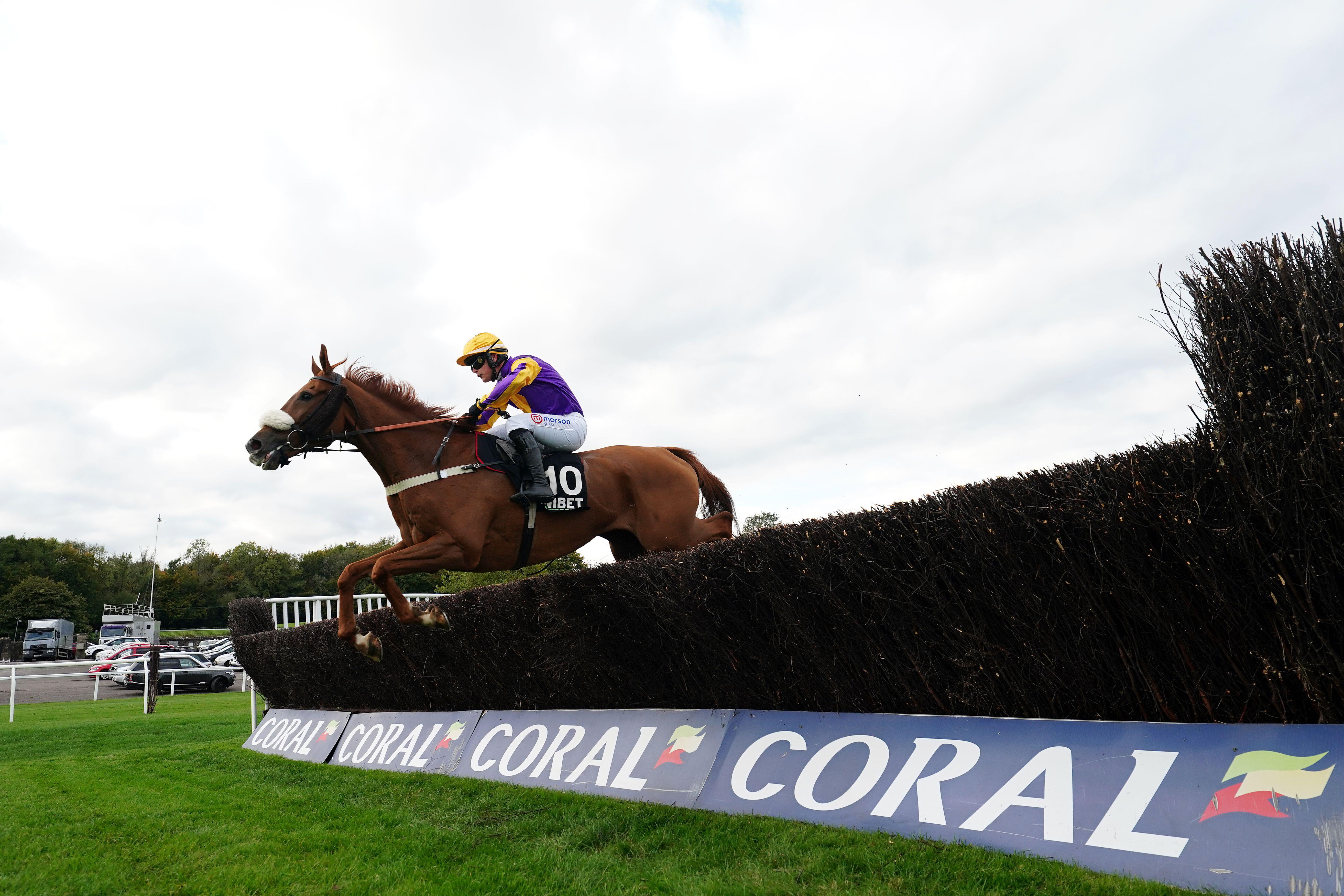 Copperhead, ridden by Freddie Gingell ,on their way to winning the Unibet Veterans&rsquo; Handicap Chase at the Welsh Racing Festival in 2024.