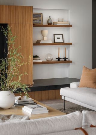 living room shelves and storage