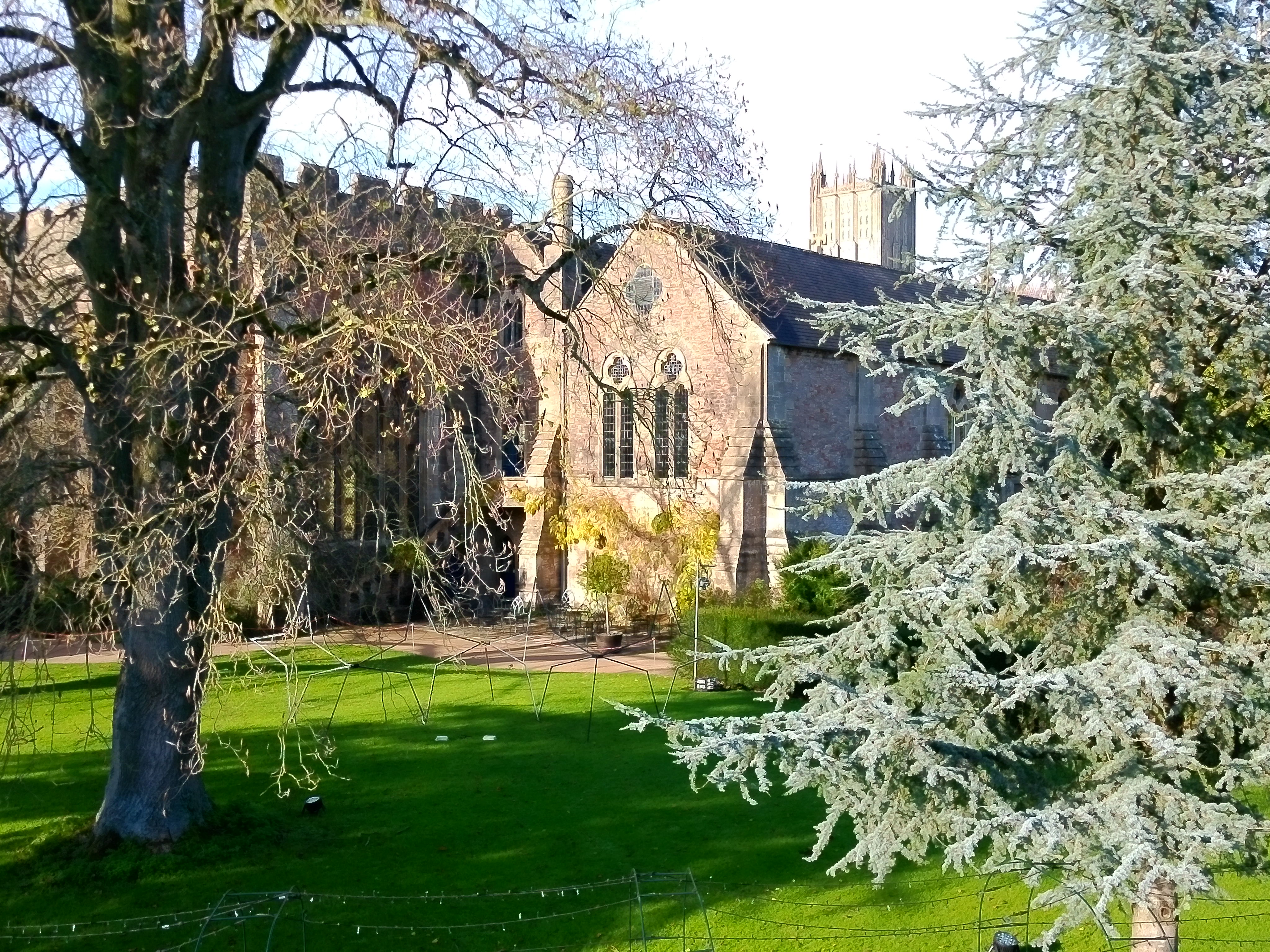 Yashica City 300 example shot