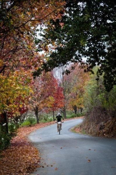 David George goes over some scenic roads around Tulbagh