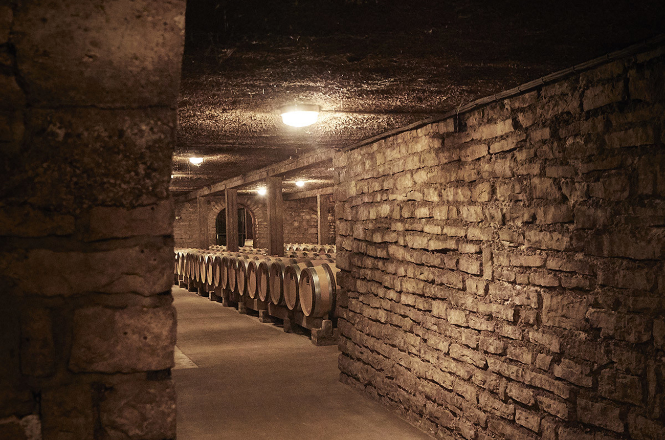 Parcellaires de Saulx