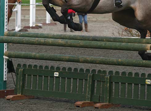 working-hunter-pony2.jpg