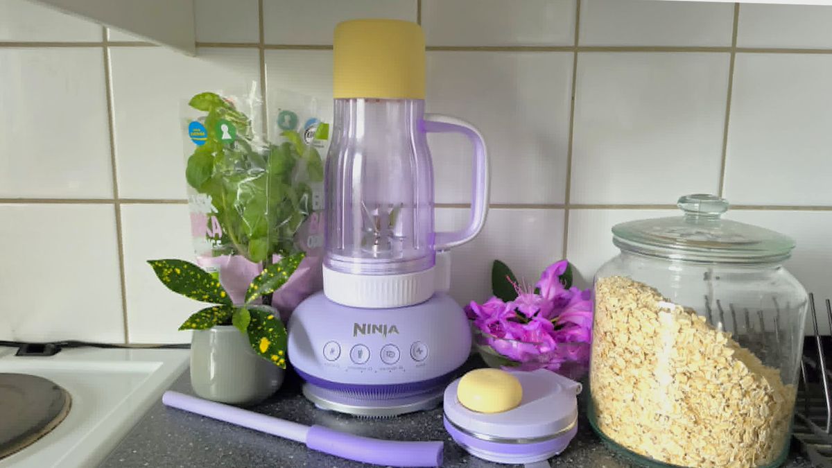 Ninja BlendBOSS blender on kitchen counter with ingredients