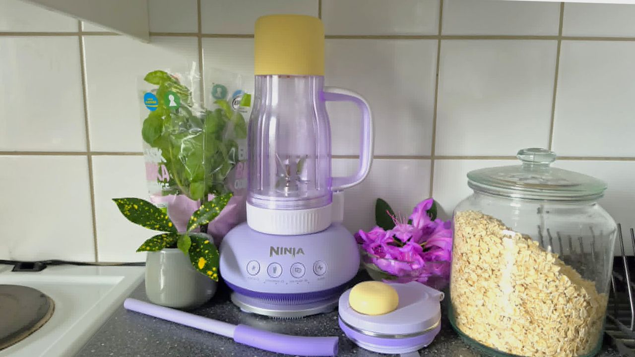 Ninja BlendBOSS blender on kitchen counter with ingredients