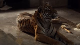 Mike Tyson's Tiger in The Hangover