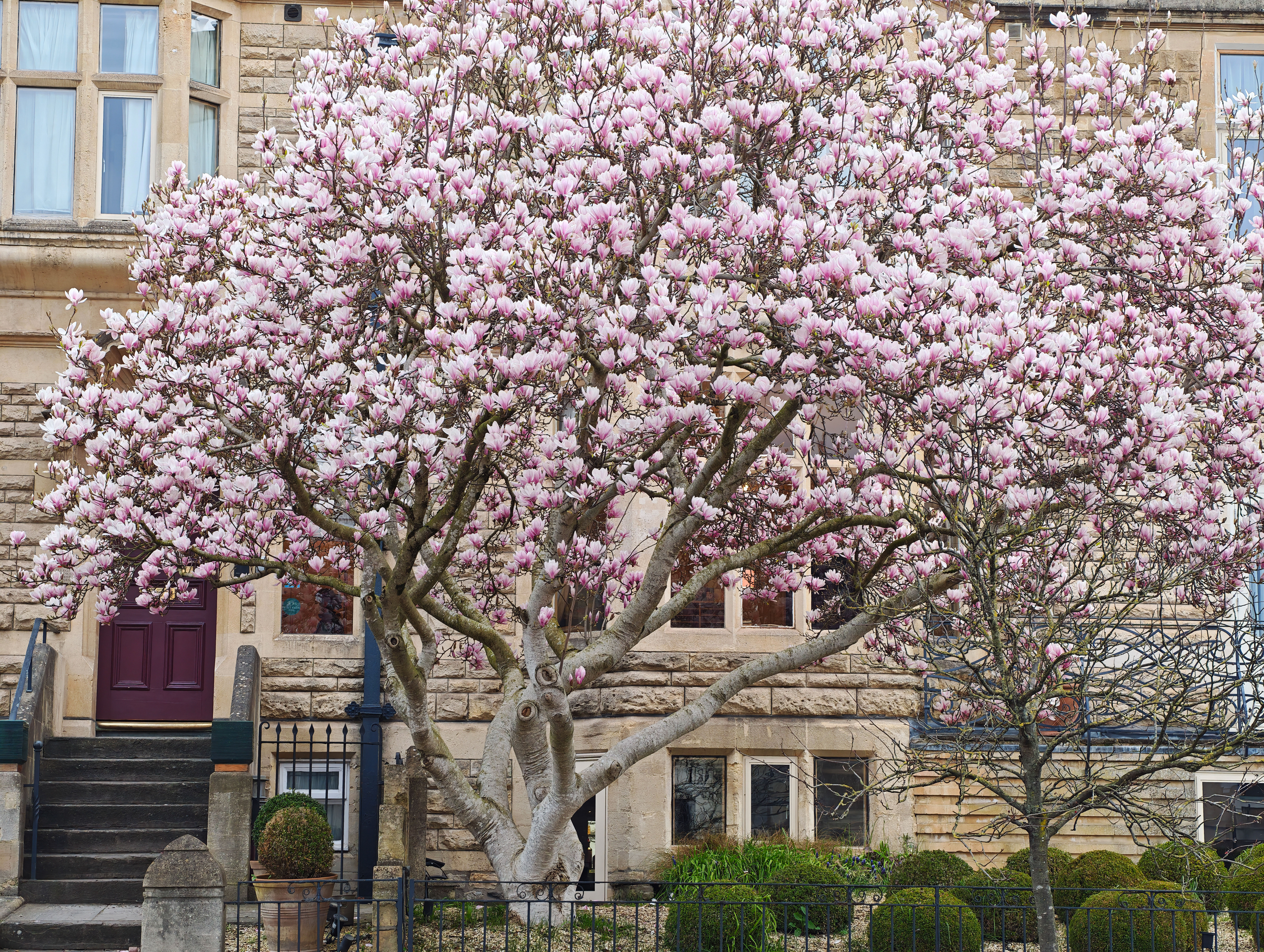 A photo taken for a Leica Leitzphone versus iPhone 17 Pro camera comparison faceoff