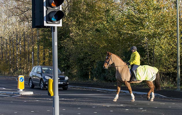 horse road crossing